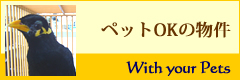 ybgOK̕